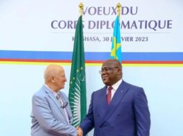 Киншаса:-Амбасадор-Јевтић-са-председником-ДР-Конго