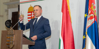 hungary-for-a-party?-ambassador-magyar-delivers!