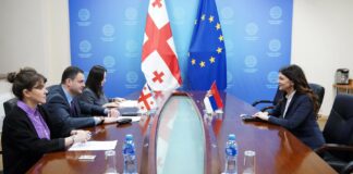 Тбилиси:-Амбасадорка-Панајотовић-Цветковић-са-замеником-министра-иностраних-послова-Грузије