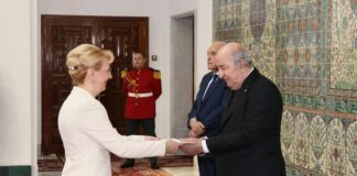 Алжир:-Амбасадорка-Петковић-предала-акредитивна-писма-председнику-Алжира