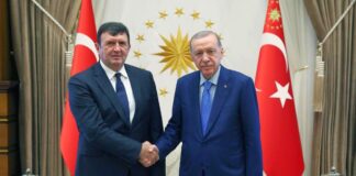 new-ambassador-of-serbia-to-turkey-presents-credentials-to-president-erdogan