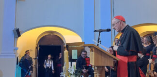 cardinal-parolin’s-visit:-a-call-for-unity-and-peace-in-a-divided-world