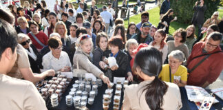 “taste-of-planet”-festival-started-last-weekend-in-novi-sad