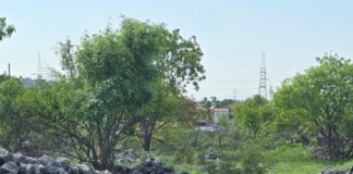 Подгорица:-Амбасадор-Родић-на-црквено-народном-сабору-на-подручју-древне-Дукље