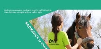 radionica-za-tinejdzere-za-uzrast-od-14+-godina
