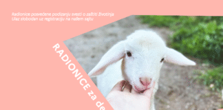 radionica-za-decu-uzrasta-od-4-do-7-godina
