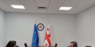 Тбилиси:-Амбасадорка-Панајотовић-Цветковић-са-званичницима-МИП-а-Грузије