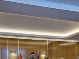 Букурешт:-Опроштајни-састанак-амбасадора-Томашевића-са-министарком-спољних-послова-Румуније