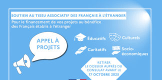 soutien-au-tissu-associatif-des-francais-a-l’etranger-(stafe)