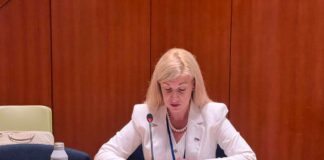 Јовановић-у-Њујорку-на-скупу-посвећеном-одрживом-миру