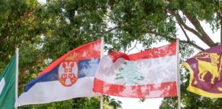 Лусака:-Амбасадорка-Зрновић-на-Паради-нација-у-Интернационалној-школи